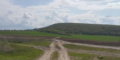 Прикрепленное изображение: 20220501_154011.jpg